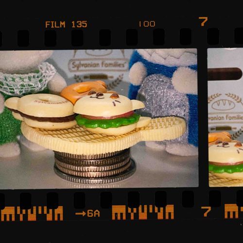 写真の背後にある秘密