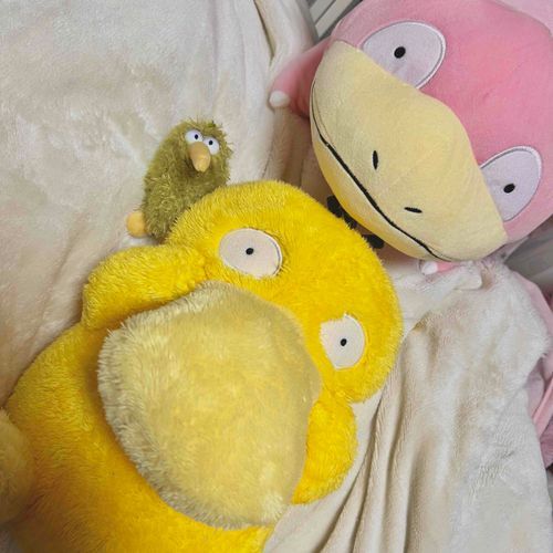 きうぃのせんぱいたちだよ
ごしゅじん おまぬけ顔がすきっていってた