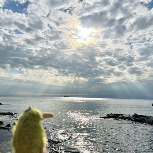 とってもいい天気だったから、江ノ島ってところにいってきたの！
海きれいだったな〜