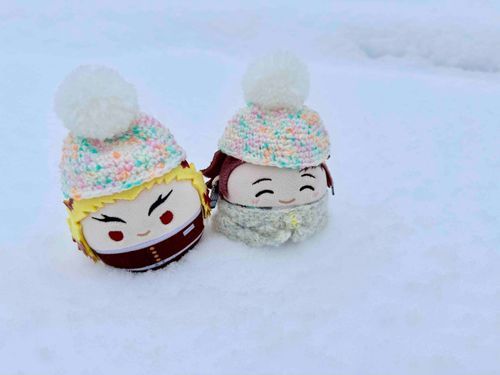ゆきふわふわきれいです(⊃´◜◡◝`⊂)☃