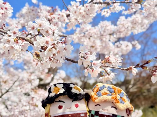 おはなみはふわごくさんもいしょです！(⊃´◜◡◝`⊂)🌸
まんかいだな！(⊃`•◡•´ ⊂)🌸