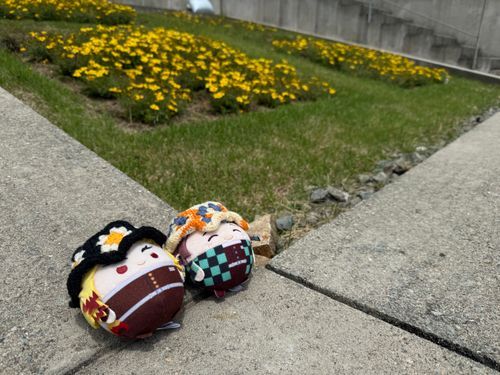 にっこうよくするふわごくさんとおれです(⊃´◜◡◝`⊂)☀