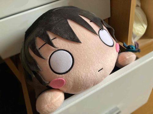 ほむらちゃん(なに??)