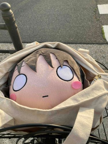 念願のお外だー
(カバンの中なのはよごれちゃうかもしれないので)
楽しかった？