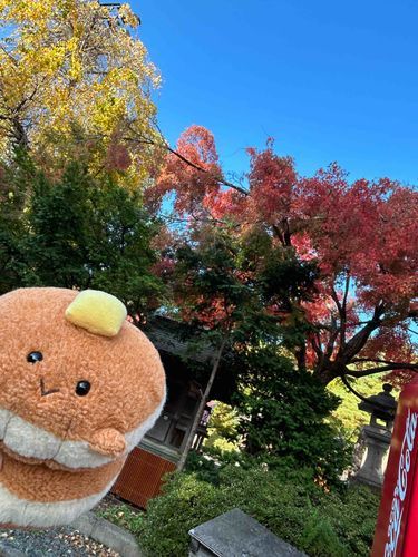 こうようだよう！🥞🍁