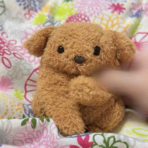 くすくす、買い主が歯を抜いて痛がってる、くすくす