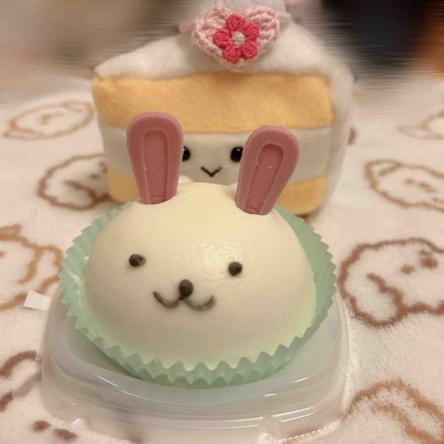 うさぎさんのけーき🐰
かわいいね🍰