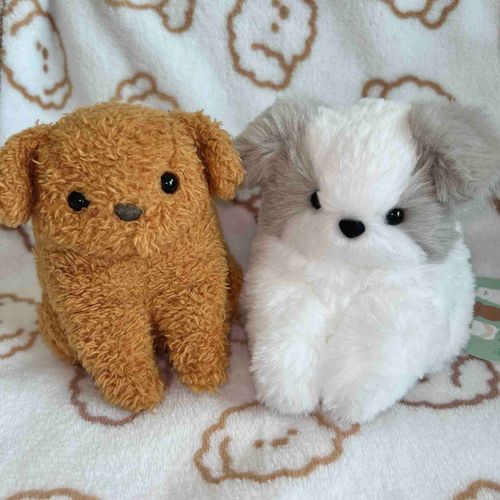 新入りだワン
これからよろしくだワン
いっヌよりフワフワでちょっと大きいワン
仲良くしようワン