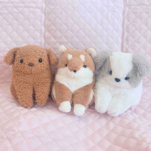 いっぬの仲間が来たからみんなに紹介するワン
シーズーのシッズと柴犬のしっばだワン
いっぬと似て可愛い名前だワン
これから一緒に散歩とか行くワン
仲間が増えて嬉しいワン