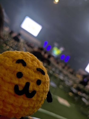 どきどきどきどき