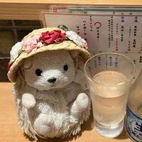 ぽよよ