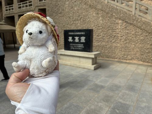 ついに莫高窟に来たポヨ‼️
色んな窟を見て回ったけど、やっぱり特別窟は凄かったポヨ〜
唐時代そのままの色が残っていて仏像も壁の彩色も全てオリジナルほかの一般窟とは全然違うんだポヨ〜
莫高窟に興味のあるぬいしゃん達、もし行くなら絶対特別窟を見ないともったいないんだポヨ〜🦔⸒⸒