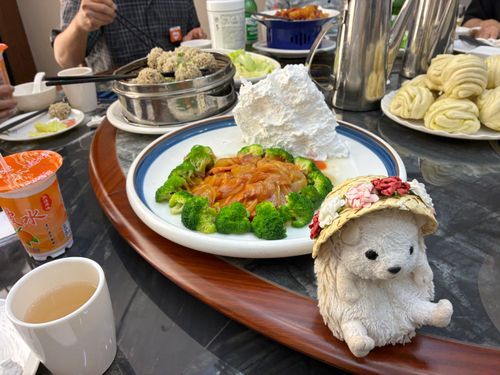 これ何の肉かわかるポヨ？
な、な、なんとラクダなんだポヨ〜🐫🐫🐫食べちゃたんだポヨ〜
見た目はコラーゲン質な感じだけどとろとろではないんだポヨ
もっちりした食感だったポヨ〜