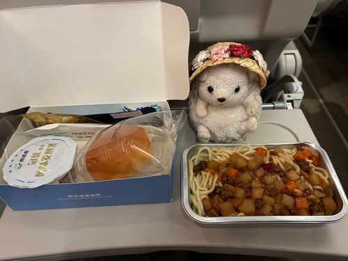ウルムチから✈️上海まで戻ってきたポヨ〜
約5時間のフライトだったポヨ〜 中国は広いんだポヨ〜
ホテルに入ったのが午前2時過ぎそして8時には日本に向けて出発ポヨ〜
