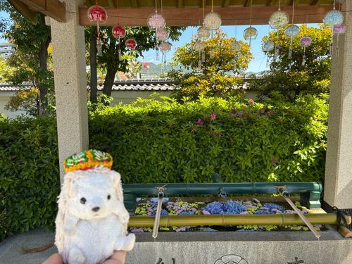 まっまるさんとハリネズミランドにある⛩に御朱印をうけに来たんだポヨ〜
お天気もよくてウォーキング日和だったんだポヨ〜🦔⸒⸒🐾⋆⭒