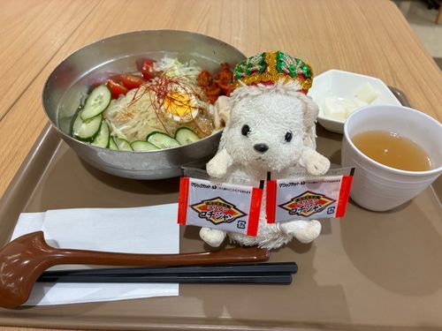 韓国冷麺を食べたんだポヨ〜
もちろんお酢ははたっぷりかけてるんだポヨ〜
あとは、コチュジャン‼️
何個入れて食べようかな？ポヨ〜🦔🫶🌶