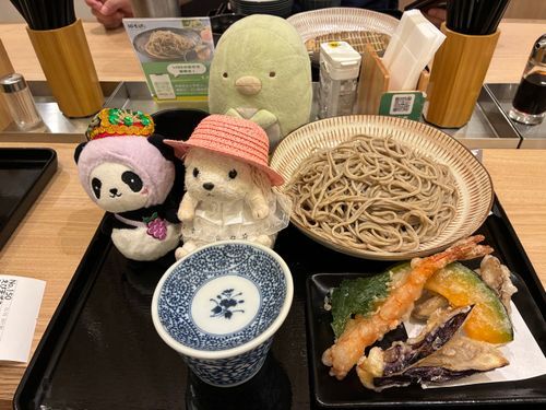 ぱん美ちゃんと、お友達のむっちゃんとお蕎麦を食べに来たんだポヨ〜
3ぬいだから、お蕎麦は大盛りにしたんだポヨ〜🦔⸒⸒🐼🥒(•Ӫ•)🥒
ちぷみちゃんは、今日はいないんだポヨ〜