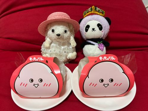 やっと、もっちゅりんを手に入れたんだポヨ〜🦔⸒⸒🫶🍩🫶🐼
ご飯前でも気にしない、食べちゃうんだポヨ〜🦔⸒⸒🐼