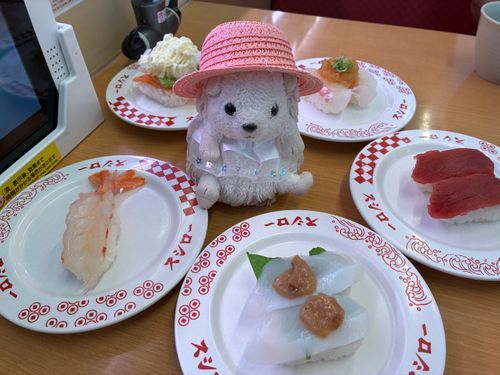 お寿司に囲まれて、とってもしあわせなんだポヨ〜
まっまるさんがこれからお仕事だから、ぽよよもお酒禁止されちゃったんだポヨ〜‪🥲‎🦔⸒⸒