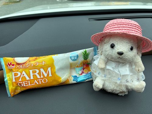 ふらっと立ち寄ったドラッグストアに売ってたんだポヨ〜
ぽよよ、たまにはアイスも食べるんだポヨ〜🍨🫶🦔⸒⸒