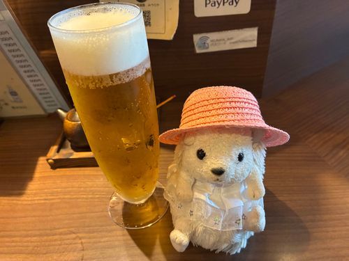 今日も暑かったポヨ〜
おつかれさま、🍻かんぱ〜いポヨ🦔⸒⸒