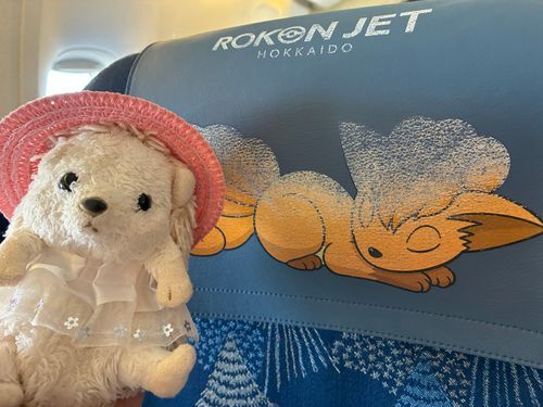 ロコンの✈️ポヨ〜
ポケジェトに乗って行くポヨ〜🦔🫶✈️