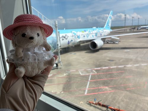 ワクワクが止まらないんだポヨ〜🦔✈️