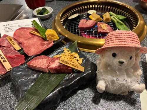 久々に焼肉に来たポヨ〜
もちろんビールも飲んでるんだポヨ〜🦔🔥🍖