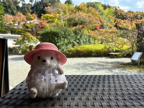 金太郎さん(坂田金時)のお墓🪦があるお寺に来たんだポヨ〜
お寺にあるカフェでちょっと一休みなんだポヨ〜