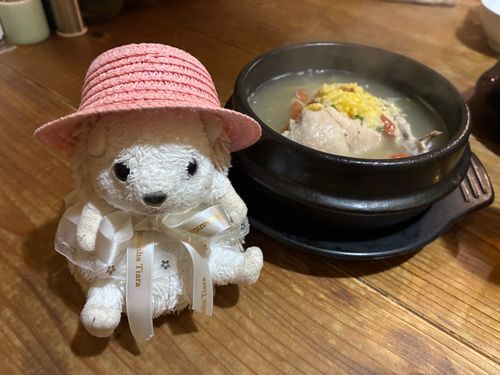 キタキタ〜‼️グツグツ熱々のサムゲタンなんだポヨ〜
お腹いっぱいで、おかずもご飯もおかわりできなかったんだポヨ〜
くやしすぎポヨ〜🦔⸒⸒