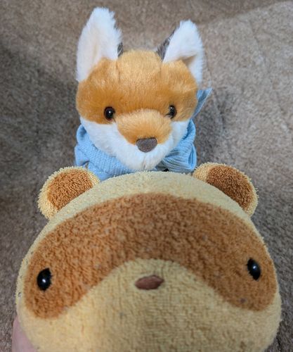 ぽん
こん