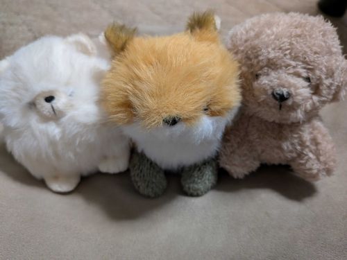 ふわふわ〜