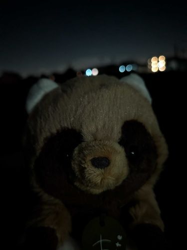 夜ふかしする？