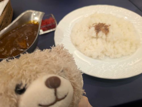 かれー！ちょとからい！