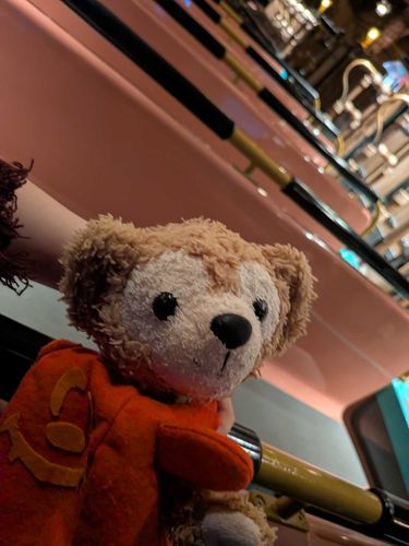 ハロウィンの仮装してあそびにいったよ！
だいすきなおふね、ダッフィーちゃんの貸し切りだったよ！