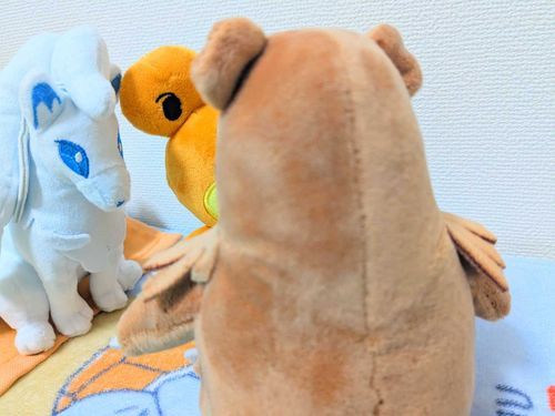 初めての友達はこの仏頂面熊
