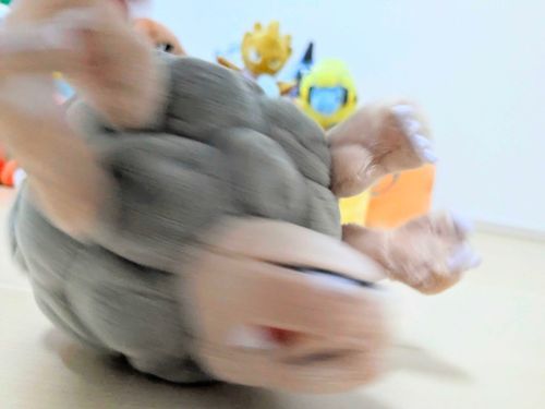 やるねゴローニャ
