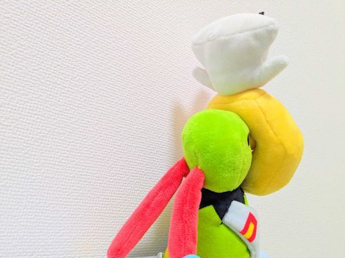 …ヌ