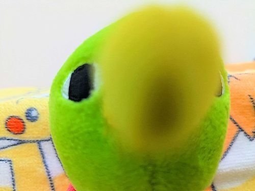 …ヌ！