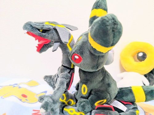 相変わらずの🖤💛