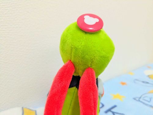 …ヌ