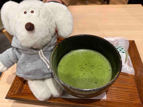お抹茶꒰ 🍵 ꒱
主はおいしいっていってたけど、ぼんちゃんにはすこしおとなすぎる味だったよ🐶💭ぼんっ