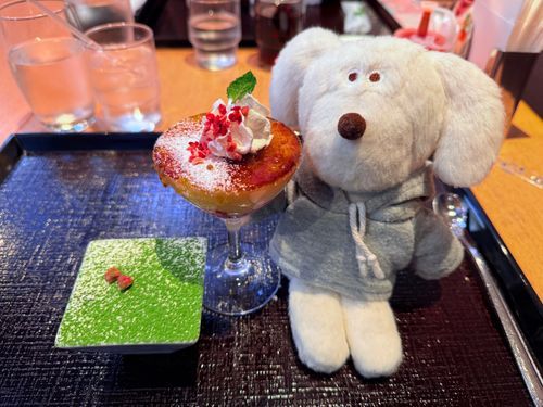 ぜいたくした！🐶💭ぼんっ