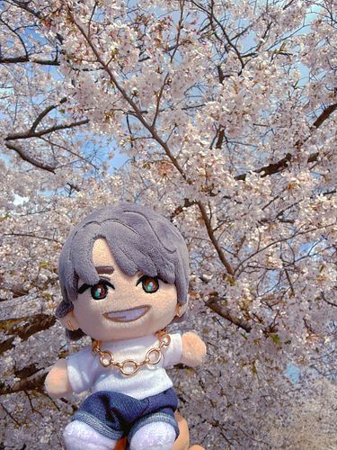 🌸🍃