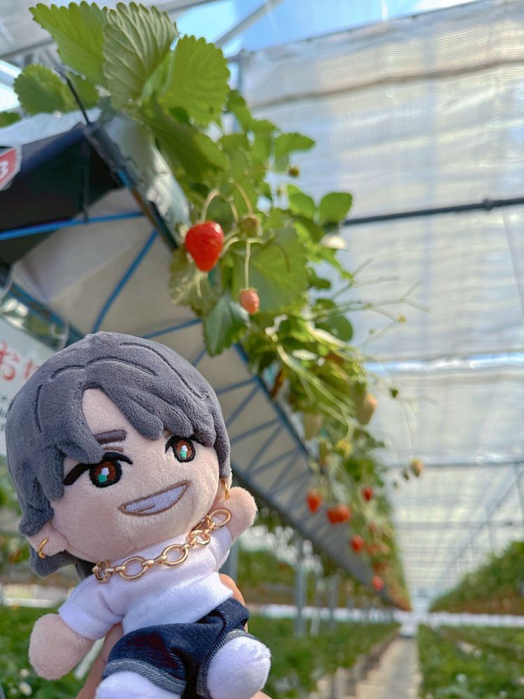 佐賀へドライブ🚗³₃🐈🍚🍓
むっちゃん万十は旅のお供にPAで買って持っていったんだけどいつ食べても最高‼️🥚