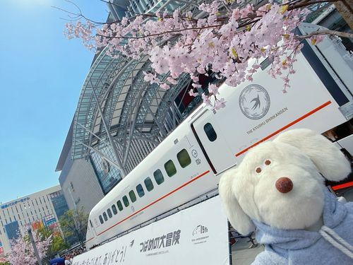つばめ！🐶💭ぼんっ