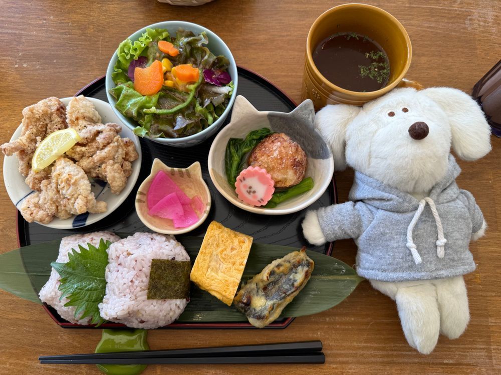 猫野食堂さんに行った✨
全てが可愛いしご飯も美味しいし周りも猫好きさんばかりで素敵な空間だった
ぼんちゃんも大満足🐶💭ぼんっ