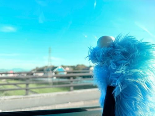 うんと綺麗な緑と、うんと綺麗な青空でした
いいねぇ～