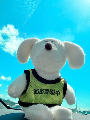 久しぶりにお出かけいくよー
いい天気でよかった！
🐶💭ぼんっ