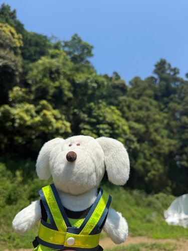 ぼんちゃん、台風明けに畑を見に来たら☀️
楽しみにしてたトウモロコシが‼️食べられてる‼️🌽🐗ｲﾉｼｼｰ
柵をしてても入ってきてる…悔しい🐶💭ぼんっ